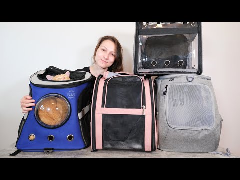Top 5 Best Cat Backpacks (We Tried Them All)