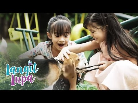Hindi nawawala ang timbang sa tulong ng prun tuyo mga aprikot Tulad ng isang araw upang uminom ng goji berry para sa pagbaba ng timbang