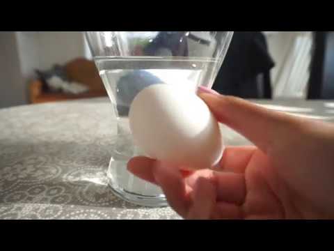 Flytkraft ägg i saltvatten