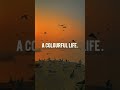 COLOURFUL LIFE Motivational Video Motivational Speech