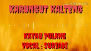 Download lagu Karungut - Kayau Pulang ( suriadie ) mp3