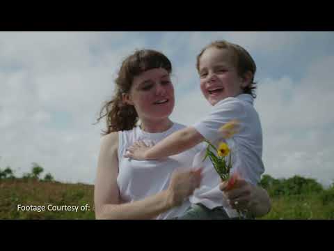 Phantom LUTs for Canon Cinema Cameras