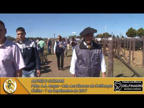 07-09-17 Nota Alfredo Guzman - Cabaña Las Blancas de Delfinagro S.A. - Chillar