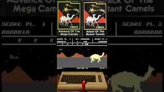 Advance Of The Mega Camels 1983