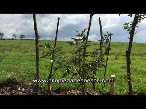 SE VENDE   Quinta en Quintas Los Llanos, La Garita, Alajuela  EB BH08873