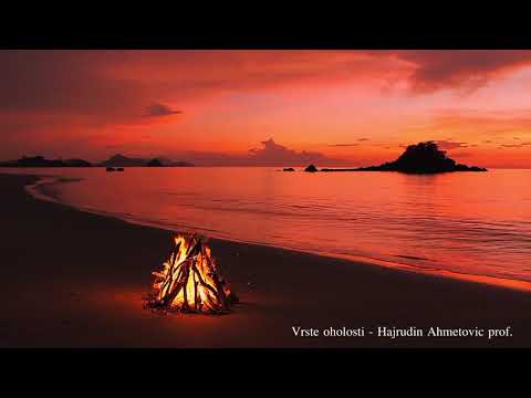 Cuvaj se ovoga ako zelis u Dzennet - Hajrudin Ahmetovic prof