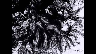 Felix K - Flowers Of Destruction #1