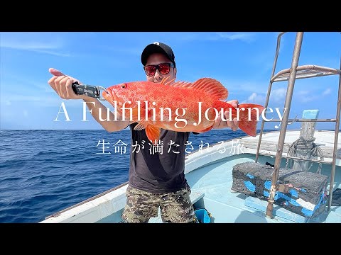 【屋久島】Water Activities : 世界自然遺産の島で水遊び - A Fulfilling Journey 生命が満たされる旅