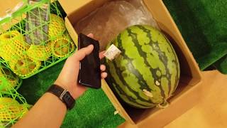 電気自動車で日本一周チャレンジ#36.2 || 本州編 || 鳥取砂丘にて充電＋観光＋買物 後半