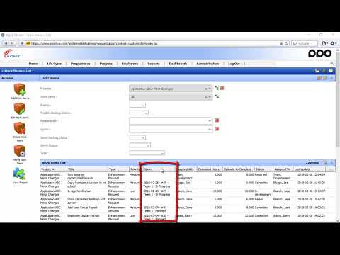 Using the Work Items