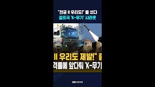 천궁 II 우리도! 줄 섰다..걸프국 'K-무기' 샤라웃 #shorts