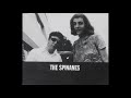 The Spinanes – Stupid Crazy