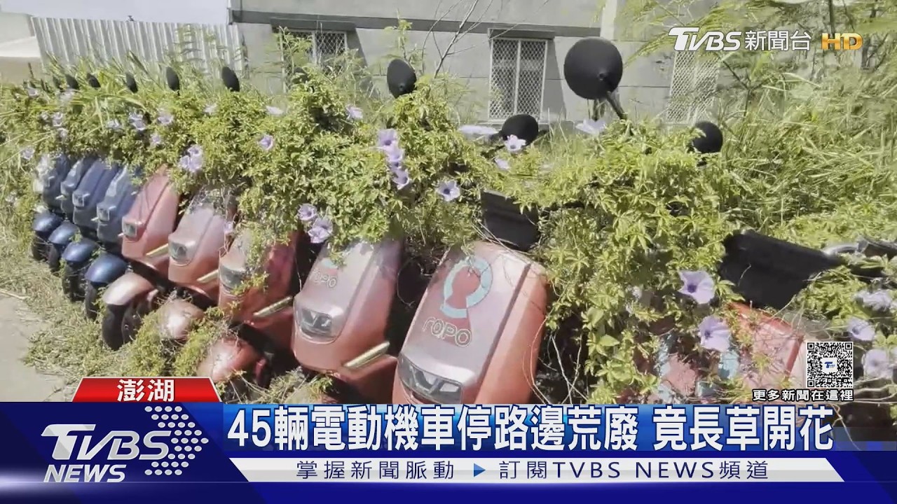 影音／澎湖電動機車「就地生根」！車身雜草開花　警限7天移走