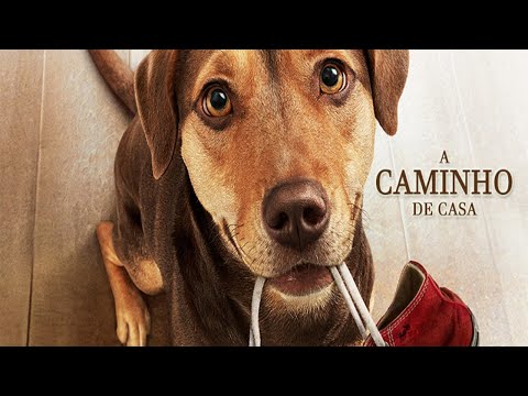 2019 A Caminho de Casa (Dublado) 