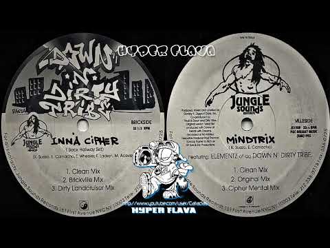 Down N' Dirty Tribe - Inn´A Cipher / Mindtrix (Full Vinyl) (1995)