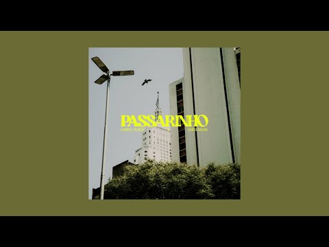 Gabriel Froede, Carol Biazin - Passarinho (Sped Up)