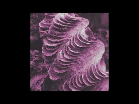 Sonic Spells #2 - alg0rh1tm