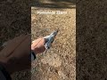 Homemade guns pt8🤯!!! #gun #homemade #viral