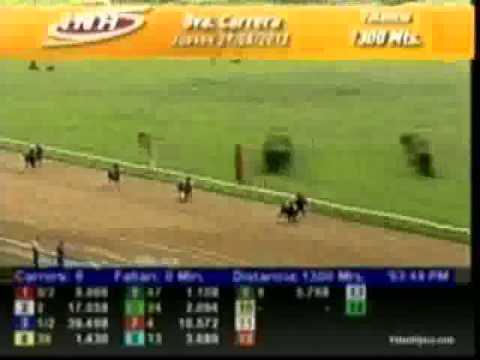 Resumen Jueves, 29 de Agosto de 2013 - Valencia