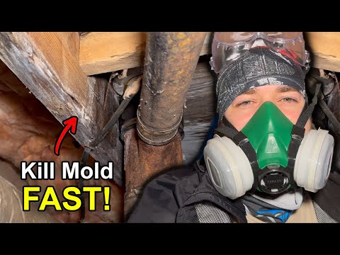 DIY Crawl Space Mold Removal - How to Kill & Clean Mold in your Crawlspace
