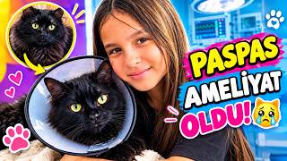 PASPAS'IN AMELİYATI! 😿 KEDİMİZİ VETERİNERE GÖTÜRDÜK.