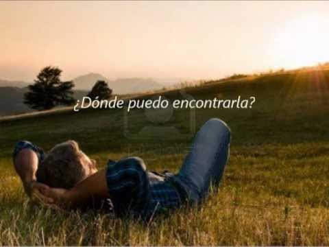 McFly Ft. Taio Cruz - Shine a light en Español.