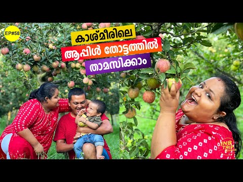 EP #58 ആപ്പിൾ തോട്ടത്തിലെ 75 Year Old വീട്ടിൽ താമസിക്കാം | Staying in an Apple Orchard in Kashmir