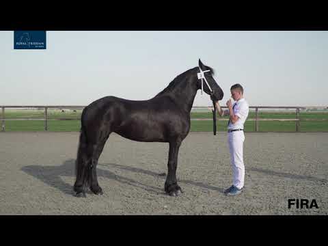 Locatiekeuring Henswoude 8-8-2020