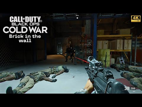 Kill or Capture Volkov? 💀 | Brick in the Wall: COD Black Ops Cold War 4K 60FPS