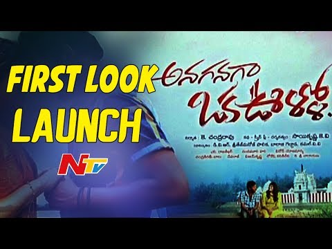 Anaganaga Oka Oorilo Movie First Look Launch Video || Rajini, Shankar || NTV