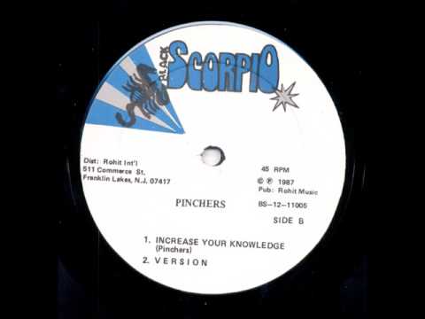 Pinchers - Increase Your Knowledge Dub - 12