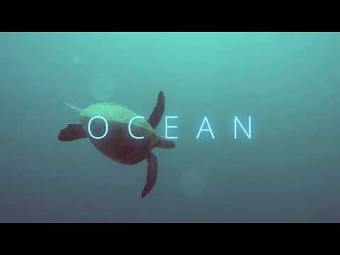 Gaurav Krishnan Ocean