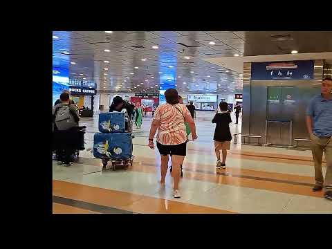 AEROPUERTO INTERNACIONAL EZEIZA ARGENTINA 