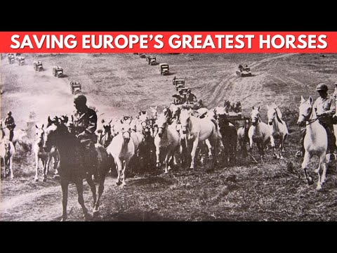 Why Operation Cowboy Remains One Of World War II’s Most Unlikely Victories