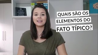 Fato típico    | Letícia Vilela Simões