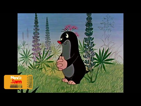 Jak kret dostał spodenki (1957) | #01