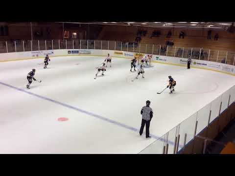 Game #4 Boro/Vetlanda vs Alvesta HC OT