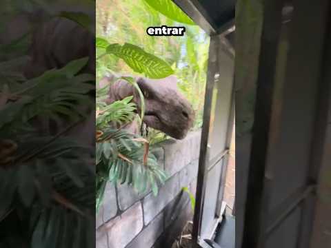 ENTRARON TRANQUILOS… PERO SALIERON GRITANDO