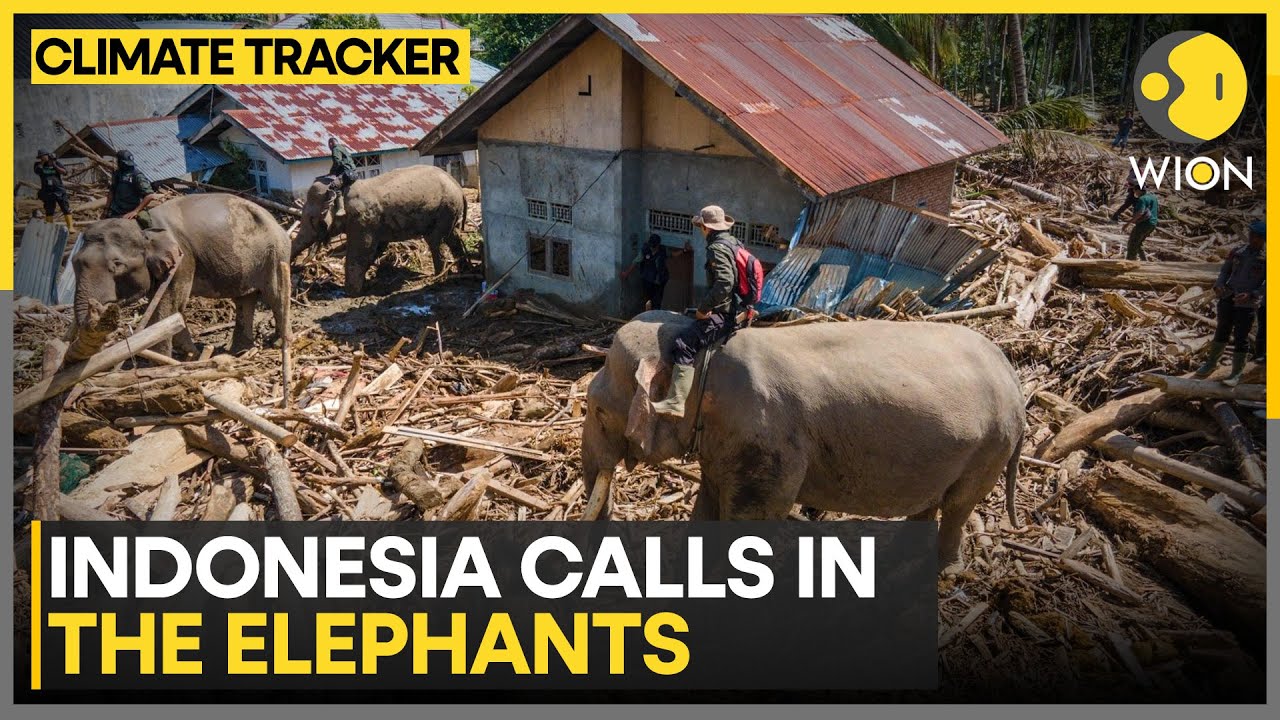 Death Toll Reaches 960 With 274 Still Missing | WION Climate Tracker