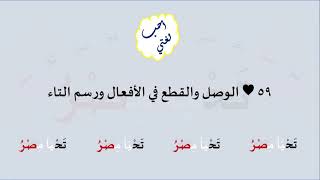 59 & صوت الوصل والقطع في الأفعال ورسم التاء image