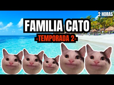 FAMILIA CATO TEMPORADA 2 (2 horas de memes de gatos)