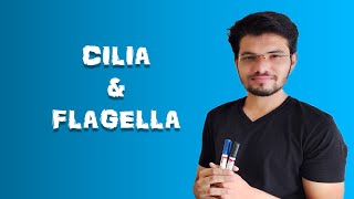 Cilia And Flagella | Cell - The Unit Of Life| Biology | Class 11 | Ch-8 L-15