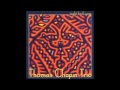 Thomas Chapin Trio - Night Bird Song