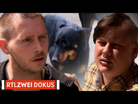 Never worked before & homeless with dogs?! 🫣 | Poor Germany | RTLZWEI Documentaries #17