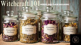 Witchcraft 101 herbs and their meaning