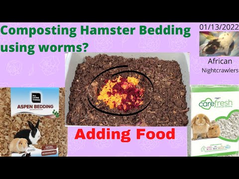 Compost Hamster Bedding with ANCs - Adding Food 01/13/2022