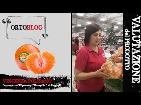 ORTOBLOG_Op Armonia_ Dolce Clementina - REPARTO ORTOFRUTTA