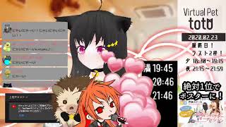 【SHOWROOM】totoฅ•ω•ฅとある猫カフェ＜ミラー配信＞