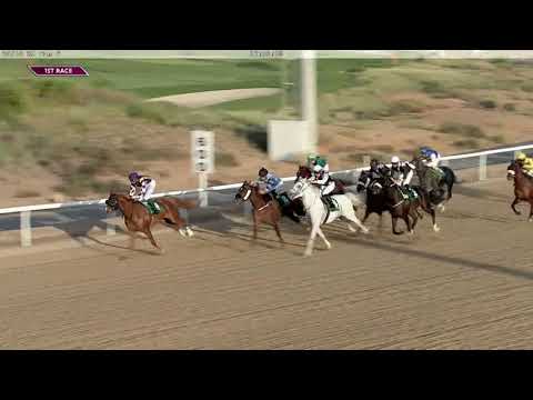 Wathba Stallions Cup Pvt Owners Only 1400m