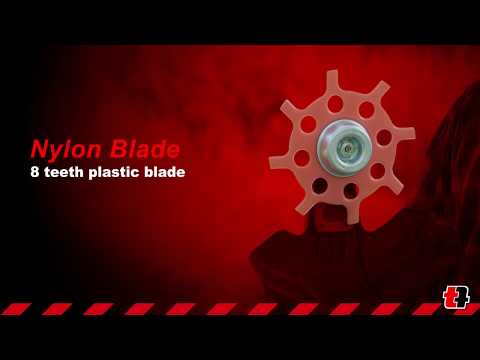 Immagine anteprima per video YouTube